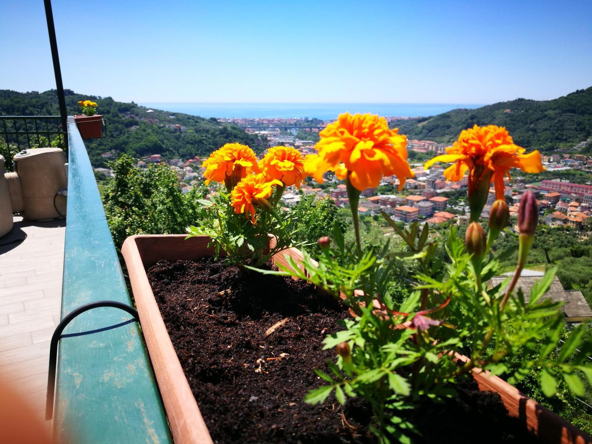 B&B La Terrazza Sui Fieschi Cogorno Exterior foto